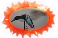 Motorized duck hunting decoys