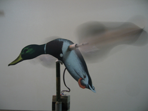Motorized duck hunting decoys
